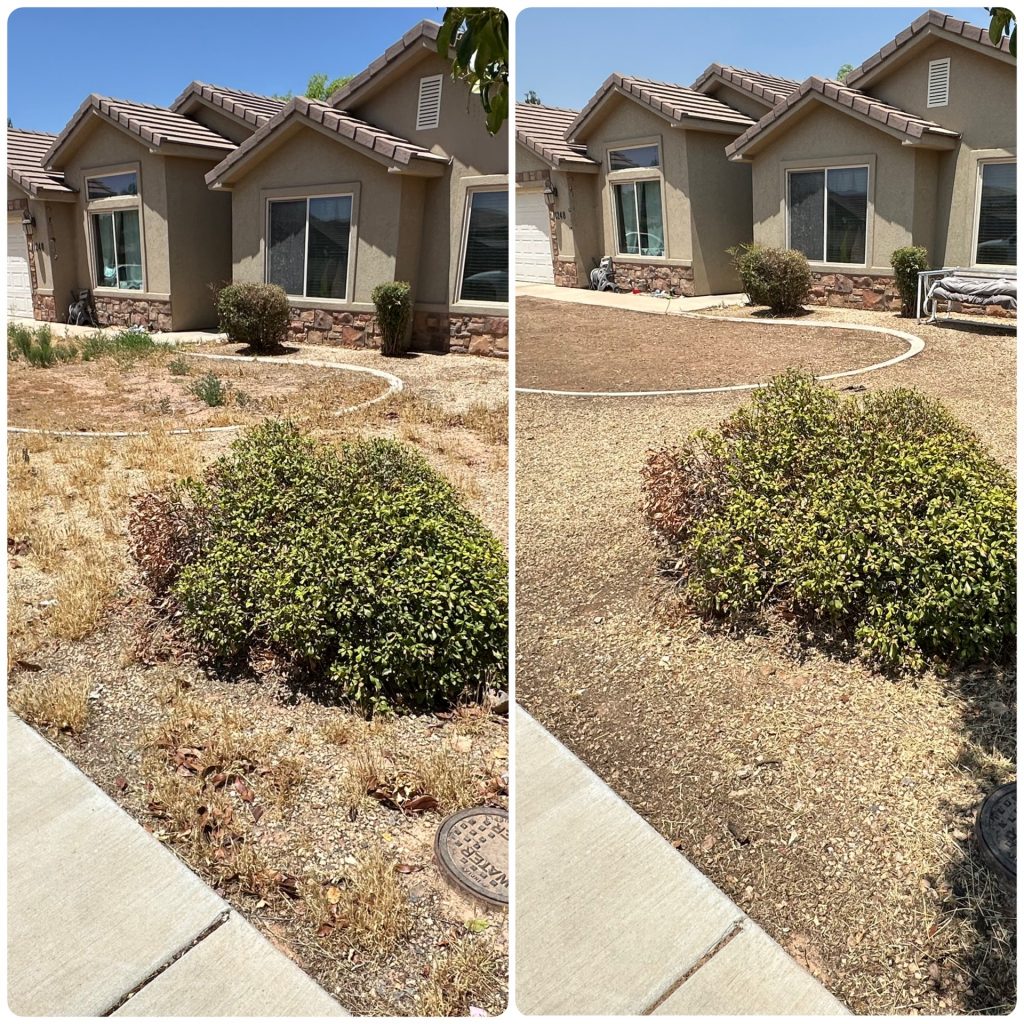 Weed-Control-before and after St. George