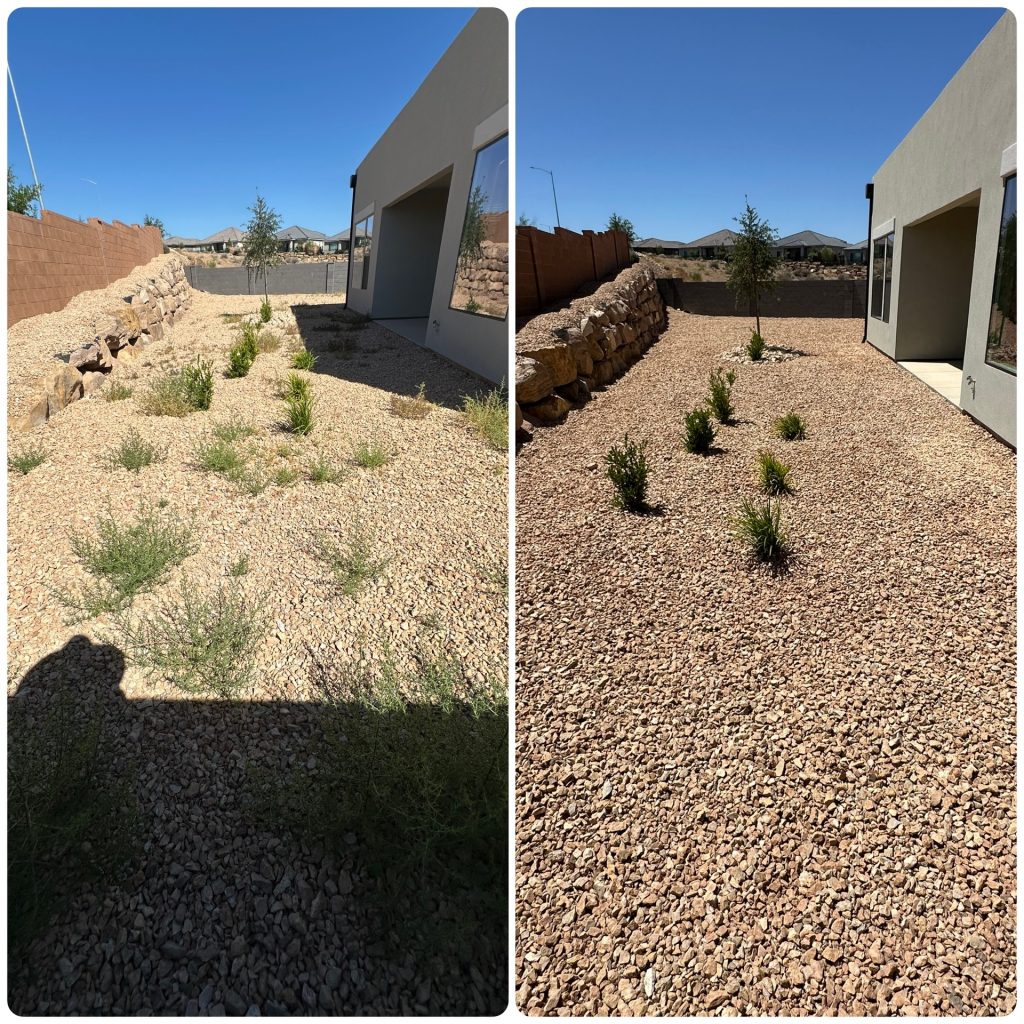 Weed-Control-before and after Washington Utah